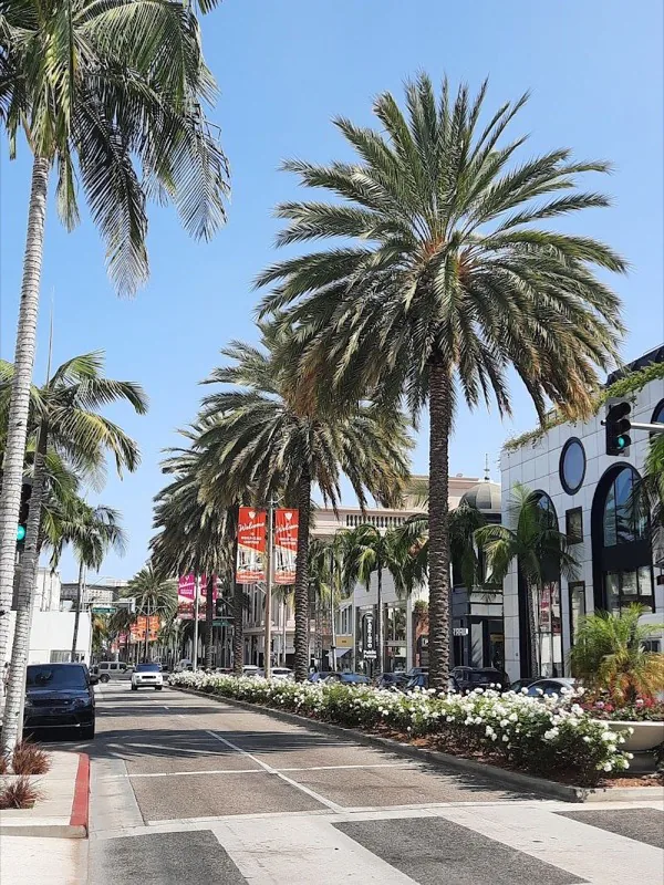 View of Beverly Hills, California