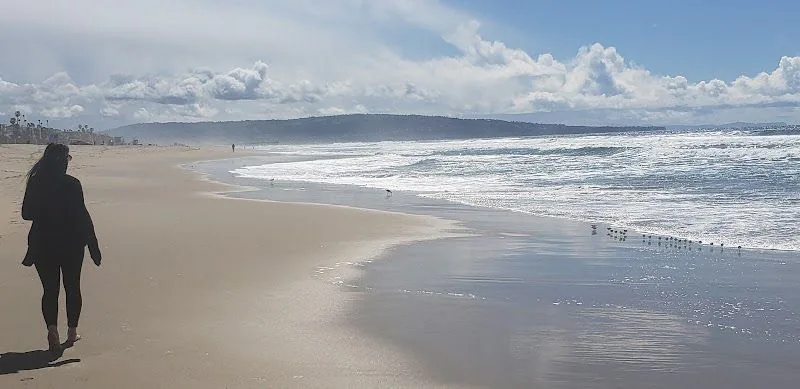 View of Manhattan Beach, California
